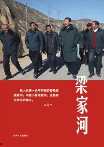 文安女士爆料新闻,揭秘娱乐圈惊人内幕